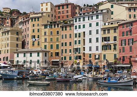 "Harbour with fishing boats, Camogli, Liguria, Riviera di Levante, Italy, Europe" View Large Photo Image Stock Image - "Harbour with fishing boats, Camogli, Liguria, Riviera di Levante, Italy, Europe". Fotosearch