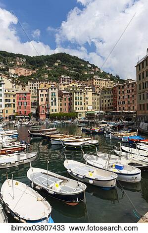 Stock Image - "Harbour with fishing boats, Camogli, Liguria, Riviera di Levante, Italy, Europe". Fotosearch