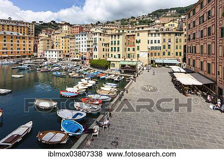 Stock Photo - "Harbour with fishing boats, Camogli, Liguria, Riviera di Levante, Italy, Europe". Fotosearch