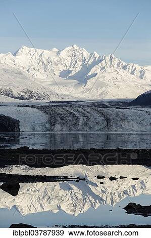 Stock Photo - "Harvard Glacier and Mt. Gilbert Lewis, College Fjord, Prince William Sound, Alaska". Fotosearch
