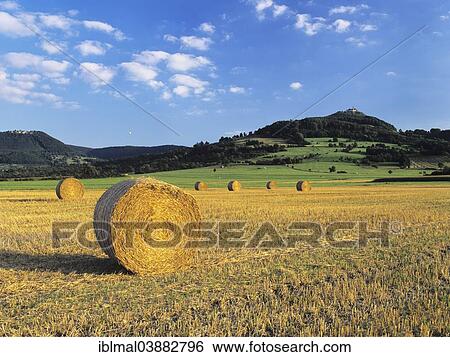 "Harvested field with straw bales, Burg Teck Castle at the back, near Kirchheim, Swabian Jura, Baden-Wurttemberg, Germany, Europe" View Large Photo Image Stock Photograph - "Harvested field with straw bales, Burg Teck Castle at the back, near Kirchheim, Swabian Jura, Baden-Wurttemberg, Germany, Europe". Fotosearch
