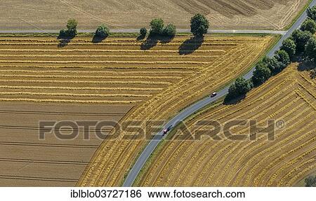 "Harvested fields, crossroads, country roads, Eineckerholsen, Welver, North Rhine-Westphalia, Germany, Europe" View Large Photo Image Stock Photograph - "Harvested fields, crossroads, country roads, Eineckerholsen, Welver, North Rhine-Westphalia, Germany, Europe". Fotosearch