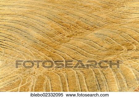 Stock Photography - "Harvested wheat field, landscape north of Sorano, Tuscany, Italy, Europe". Fotosearch