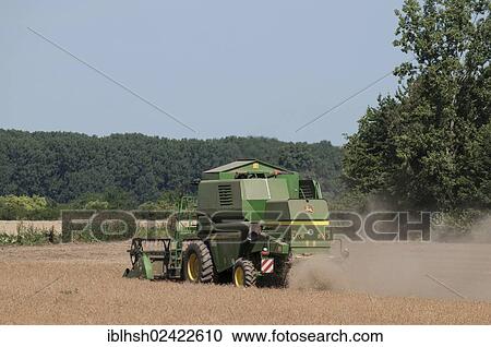 Harvester in wheat field, grain harvest, dust, Bonn, North Rhine-Westphalia, Germany, Europe, PublicGround, Europe View Large Photo Image Stock Image - Harvester in wheat field, grain harvest, dust, Bonn, North Rhine-Westphalia, Germany, Europe, PublicGround, Europe. Fotosearch