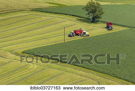"Harvesting, aerial view, Ruthen, North Rhine-Westphalia, Germany, Europe" View Large Photo Image Stock Image - "Harvesting, aerial view, Ruthen, North Rhine-Westphalia, Germany, Europe". Fotosearch