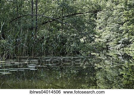 "Havel river, Mecklenburg-Western Pomerania, Germany, Europe" View Large Photo Image Stock Photograph - "Havel river, Mecklenburg-Western Pomerania, Germany, Europe". Fotosearch