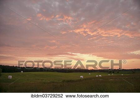 "Hay bales on a mown meadow in the evening, near Galkowo, Warmian-Masurian Voivodeship or Warmia-Masuria Province, Poland, Europe" View Large Photo Image Stock Image - "Hay bales on a mown meadow in the evening, near Galkowo, Warmian-Masurian Voivodeship or Warmia-Masuria Province, Poland, Europe". Fotosearch