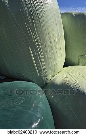 "Hay bales wrapped in green plastic sheeting, Schaeftlarn, Bavaria, Germany, Europe" View Large Photo Image Stock Image - "Hay bales wrapped in green plastic sheeting, Schaeftlarn, Bavaria, Germany, Europe". Fotosearch