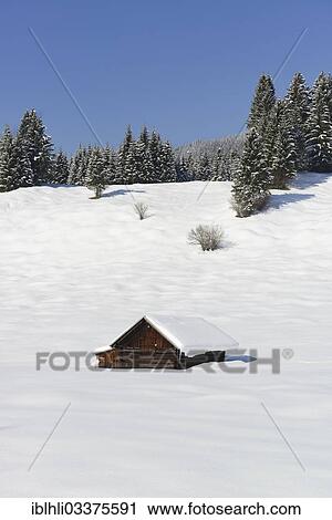 "Hay shack or barn at Buckelwiesen meadows, Gerold, Mittenwald, Upper Bavaria, Bavaria, Germany, Europe" View Large Photo Image Stock Image - "Hay shack or barn at Buckelwiesen meadows, Gerold, Mittenwald, Upper Bavaria, Bavaria, Germany, Europe". Fotosearch