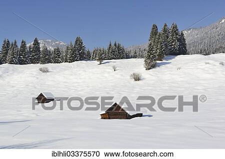 Stock Image - "Hay shacks or barns at Buckelwiesen meadows, Gerold, Mittenwald, Upper Bavaria, Bavaria, Germany, Europe". Fotosearch