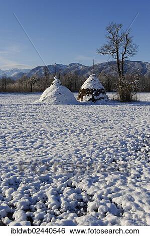 "Haystacks in winter in the Murnauer Moos, Murnau, Pfaffenwinkel region, Upper Bavaria, Germany, Europe" View Large Photo Image Stock Photograph - "Haystacks in winter in the Murnauer Moos, Murnau, Pfaffenwinkel region, Upper Bavaria, Germany, Europe". Fotosearch