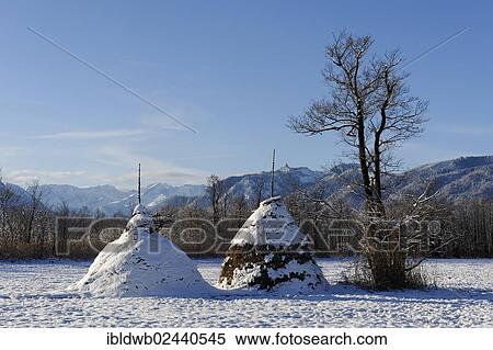 Stock Photography - "Haystacks in winter in the Murnauer Moos, Murnau, Pfaffenwinkel region, Upper Bavaria, Germany, Europe". Fotosearch