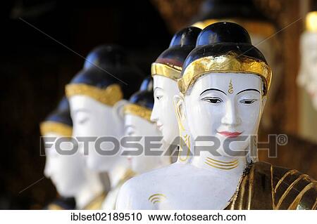 "Heads of Buddha statues in a temple, Yangon, Myanmar, Burma, Southeast Asia, Asia" View Large Photo Image Stock Image - "Heads of Buddha statues in a temple, Yangon, Myanmar, Burma, Southeast Asia, Asia". Fotosearch