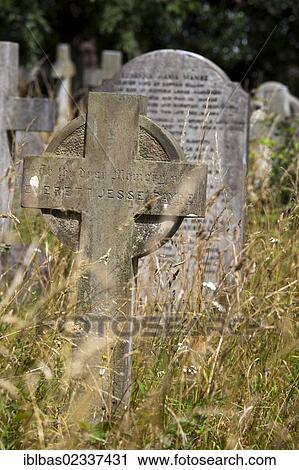 Stock Image - "Headstones, Celtic cross, Brompton Cemetery, London, England, United Kingdom, Europe". Fotosearch