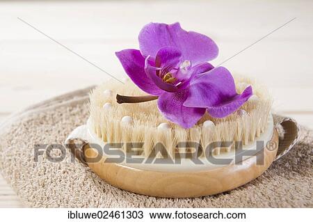 Health spa items View Large Photo Image Stock Image - Health spa items. Fotosearch