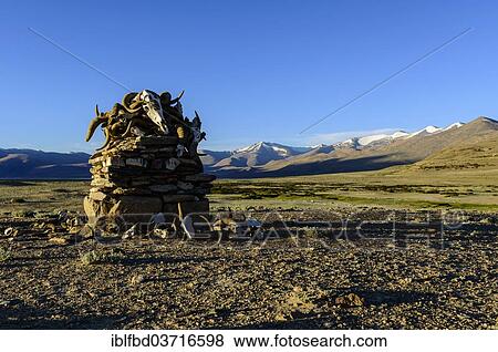 "Heap of yak skulls and horns, Buddhist place of prayer and meditation, Korzok, Ladakh, Jammu and Kashmir, India, Asia" View Large Photo Image Stock Photo - "Heap of yak skulls and horns, Buddhist place of prayer and meditation, Korzok, Ladakh, Jammu and Kashmir, India, Asia". Fotosearch