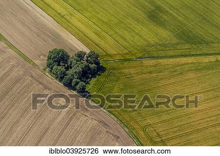 "Heart-shaped copse, fields and paths, aerial view, dates, Ruhr Area, North Rhine-Westphalia, Germany, Europe" View Large Photo Image Stock Photograph - "Heart-shaped copse, fields and paths, aerial view, dates, Ruhr Area, North Rhine-Westphalia, Germany, Europe". Fotosearch