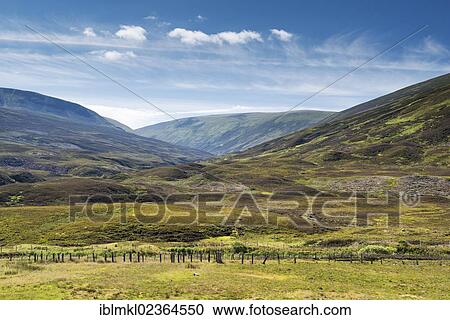 "Heathland with the Drumochter Hills, Scotland, United Kingdom, Europe" View Large Photo Image Stock Image - "Heathland with the Drumochter Hills, Scotland, United Kingdom, Europe". Fotosearch