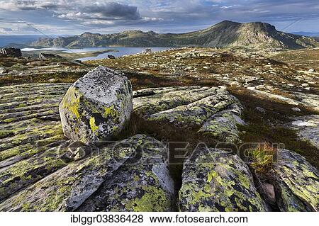 Stock Photo - "Heddersvatn Lake with the Heddersfjell plateau near Rjukan, Tinn, Telemark, Norway, Europe". Fotosearch