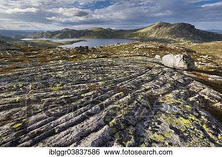 "Heddersvatn Lake with the Heddersfjell plateau near Rjukan, Tinn, Telemark, Norway, Europe" View Large Photo Image Stock Photograph - "Heddersvatn Lake with the Heddersfjell plateau near Rjukan, Tinn, Telemark, Norway, Europe". Fotosearch