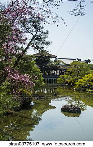 "Heian Jingu shrine, cherry blossom, Okazaki Park, Kyoto, Japan, Asia" View Large Photo Image Stock Photo - "Heian Jingu shrine, cherry blossom, Okazaki Park, Kyoto, Japan, Asia". Fotosearch