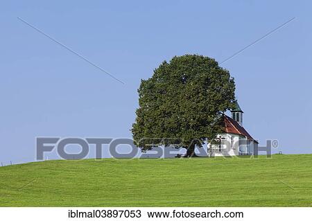 "Heilig-Kreuz-Kapelle, or Holy Cross Chapel, Amtzell, Allgau, Swabia, Baden-Wurttemberg, Germany, Europe" View Large Photo Image Stock Image - "Heilig-Kreuz-Kapelle, or Holy Cross Chapel, Amtzell, Allgau, Swabia, Baden-Wurttemberg, Germany, Europe". Fotosearch