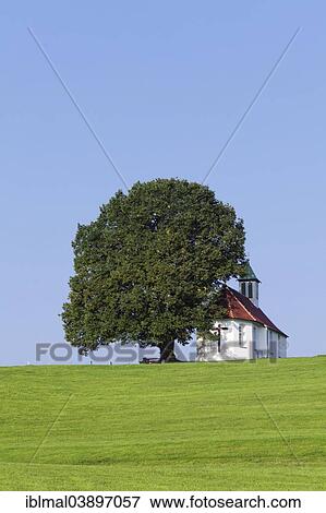 "Heilig-Kreuz-Kapelle, or Holy Cross Chapel, Amtzell, Allgau, Swabia, Baden-Wurttemberg, Germany, Europe" View Large Photo Image Stock Photo - "Heilig-Kreuz-Kapelle, or Holy Cross Chapel, Amtzell, Allgau, Swabia, Baden-Wurttemberg, Germany, Europe". Fotosearch