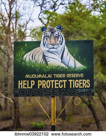"Help protect tigers"""", information sign, Mudumalai Wildlife Sanctuary, Tamil Nadu, India, Asia" View Large Photo Image Stock Image - "Help protect tigers"""", information sign, Mudumalai Wildlife Sanctuary, Tamil Nadu, India, Asia". Fotosearch