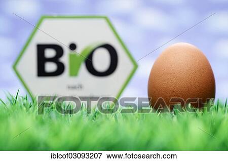 Stock Photo - "Hen's egg and organic seal, symbolic image, Germany, Europe". Fotosearch
