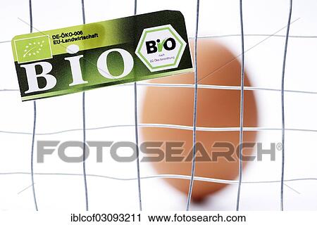 "Hen's egg behind cage-bars with organic seal, symbolic image for mislabeled organic eggs, Germany, Europe" View Large Photo Image Stock Image - "Hen's egg behind cage-bars with organic seal, symbolic image for mislabeled organic eggs, Germany, Europe". Fotosearch