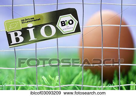 "Hen's egg behind cage-bars with organic seal, symbolic image for mislabeled organic eggs, Germany, Europe" View Large Photo Image Stock Photo - "Hen's egg behind cage-bars with organic seal, symbolic image for mislabeled organic eggs, Germany, Europe". Fotosearch