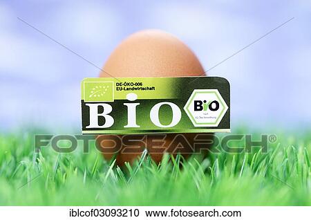 "Hen's egg with organic seal, symbolic image, Germany, Europe" View Large Photo Image Stock Image - "Hen's egg with organic seal, symbolic image, Germany, Europe". Fotosearch