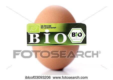 "Hen's egg with organic seal, symbolic image, Germany, Europe" View Large Photo Image Stock Photograph - "Hen's egg with organic seal, symbolic image, Germany, Europe". Fotosearch