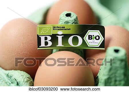 "Hen's eggs with organic seal, symbolic image for mislabeled organic eggs, Germany, Europe" View Large Photo Image Stock Image - "Hen's eggs with organic seal, symbolic image for mislabeled organic eggs, Germany, Europe". Fotosearch