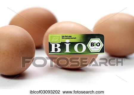 Stock Image - "Hen's eggs with organic seal, symbolic image, Germany, Europe". Fotosearch