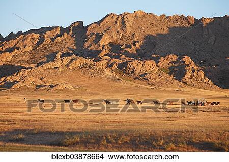 Picture - "Herd of goats in front of the rocky Baga Gazaryn Chuluu range, Dundgobi Aimag, Middle Gobi, Mongolia, Asia". Fotosearch