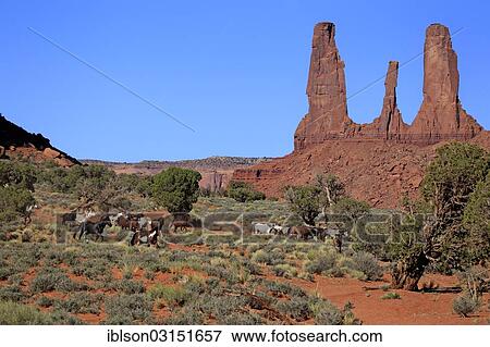 Stock Photo - "Herd of mustangs, Monument Valley, Utah, United States, North America". Fotosearch