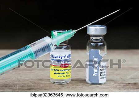 "Herpes vaccine and influenza vaccine for horses, bottles of serum and an injection needle" View Large Photo Image Stock Photography - "Herpes vaccine and influenza vaccine for horses, bottles of serum and an injection needle". Fotosearch