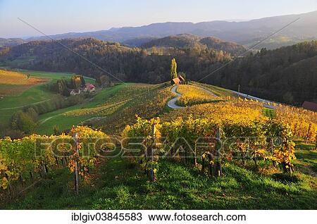 "Herzlstrasse or Heart Street in the evening light, South Styrian Wine Road, Styria, Austria, Europe" View Large Photo Image Stock Image - "Herzlstrasse or Heart Street in the evening light, South Styrian Wine Road, Styria, Austria, Europe". Fotosearch