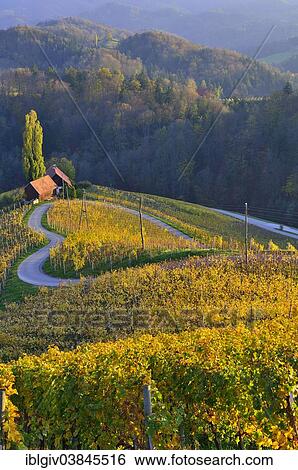 "Herzlstrasse or Heart Street in the evening light, South Styrian Wine Road, Styria, Austria, Europe" View Large Photo Image Stock Photograph - "Herzlstrasse or Heart Street in the evening light, South Styrian Wine Road, Styria, Austria, Europe". Fotosearch