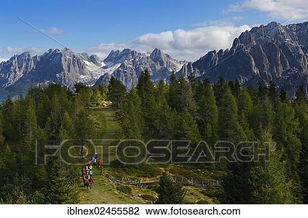 "Hickers with llamas during a llama tour near Hochsteinhuette mountain hut, Carnic Dolomites, Upper Lienz, Puster Valley, East Tyrol, Austria, Europe" View Large Photo Image Stock Image - "Hickers with llamas during a llama tour near Hochsteinhuette mountain hut, Carnic Dolomites, Upper Lienz, Puster Valley, East Tyrol, Austria, Europe". Fotosearch