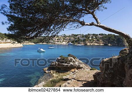 "Hidden beach of Portals Vells, Three Finger Bay, Cala Portals Vells, Cala Mago, Majorca, Balearic Islands, Spain, Europe" View Large Photo Image Picture - "Hidden beach of Portals Vells, Three Finger Bay, Cala Portals Vells, Cala Mago, Majorca, Balearic Islands, Spain, Europe". Fotosearch
