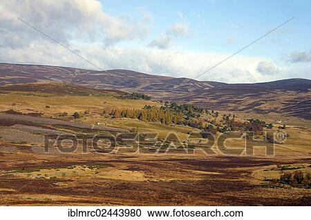 "Highlands in autumn, Scotland, United Kingdom, Europe" View Large Photo Image Stock Image - "Highlands in autumn, Scotland, United Kingdom, Europe". Fotosearch