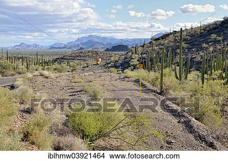 "Highway 1, north of Loreto, Sierra de la Giganta, Baja California Sur, Mexico, North America" View Large Photo Image Picture - "Highway 1, north of Loreto, Sierra de la Giganta, Baja California Sur, Mexico, North America". Fotosearch