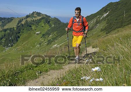 "Hiker ascending Geigelstein Mountain, Chiemgau, Bavaria, Germany, Europe" View Large Photo Image Stock Photo - "Hiker ascending Geigelstein Mountain, Chiemgau, Bavaria, Germany, Europe". Fotosearch