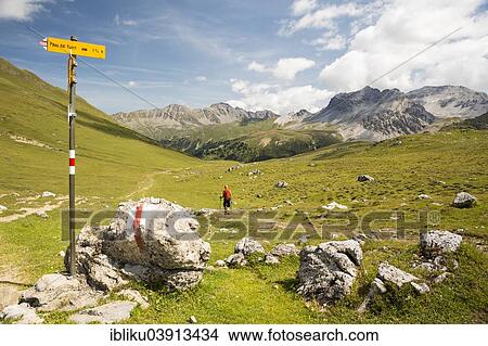 Picture - "Hiker at Fuorcia Funtana da S-charl, crossing of the Val Mustair to the Val S-charl, Swiss National Park, Graubunden, Switzerland, Europe". Fotosearch
