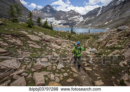 "Hiker at Lake McArthur, Yoho National Park, British Columbia, Canada, North America" View Large Photo Image Stock Photo - "Hiker at Lake McArthur, Yoho National Park, British Columbia, Canada, North America". Fotosearch