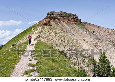 Hiker climbing Cima Verde mountain, province of Trento, Italy, Europe View Large Photo Image Stock Image - Hiker climbing Cima Verde mountain, province of Trento, Italy, Europe. Fotosearch