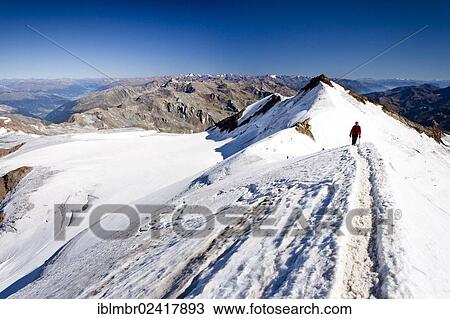 Hiker climbing Monte Cevedale mountain, Zufallspitze mountain at the back, province of Bolzano-Bozen, Italy, Europe View Large Photo Image Stock Image - Hiker climbing Monte Cevedale mountain, Zufallspitze mountain at the back, province of Bolzano-Bozen, Italy, Europe. Fotosearch