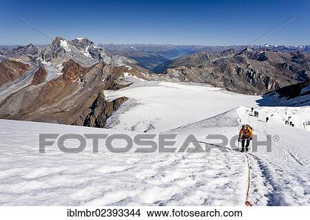 "Hiker climbing Monte Cevedale mountain, Koenig mountain and Ortler mountain at the back, province of Bolzano-Bozen, Italy, Europe" View Large Photo Image Picture - "Hiker climbing Monte Cevedale mountain, Koenig mountain and Ortler mountain at the back, province of Bolzano-Bozen, Italy, Europe". Fotosearch